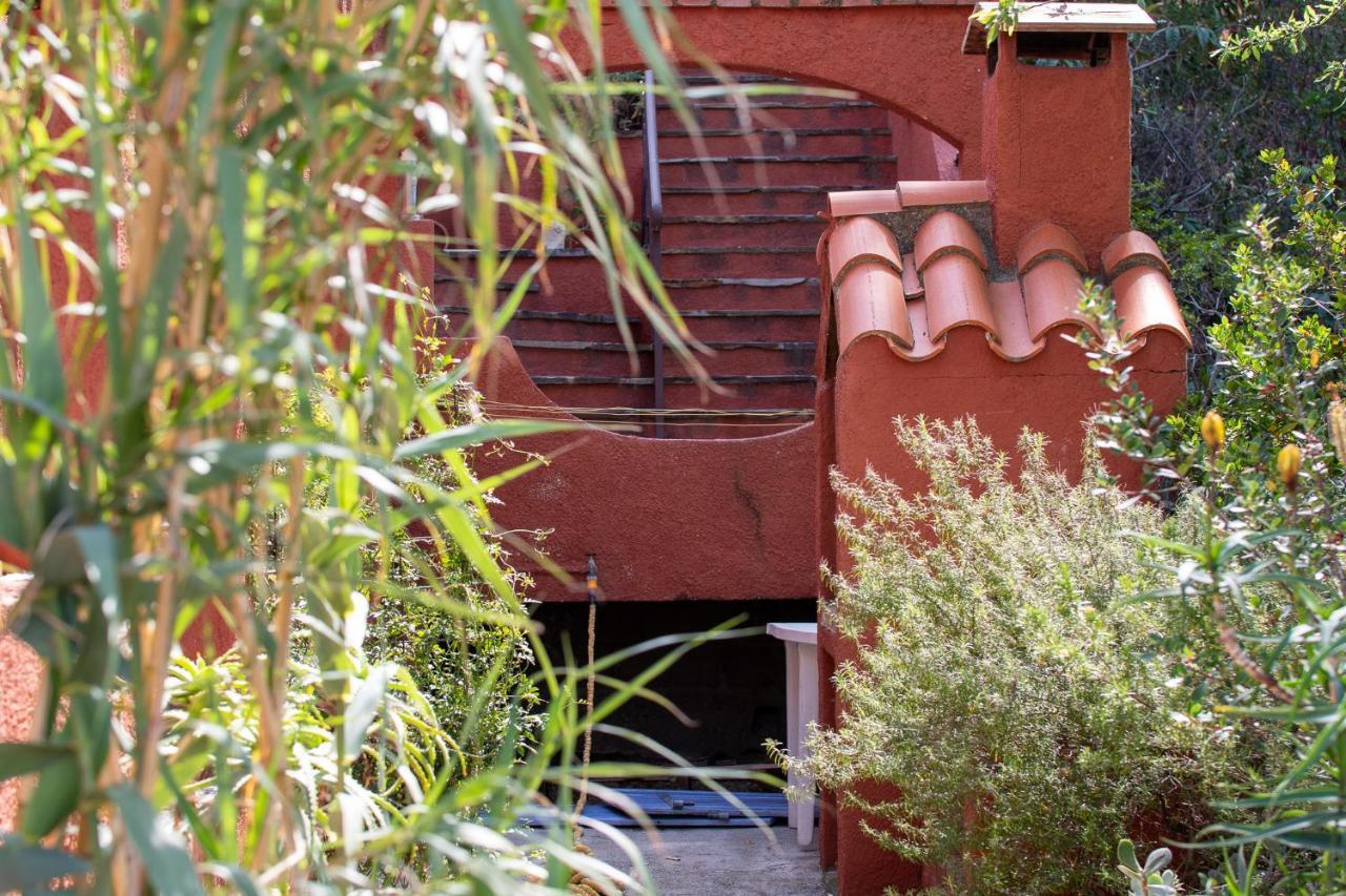 Villa Bougainvilliers Banyuls-sur-Mer Exterior foto