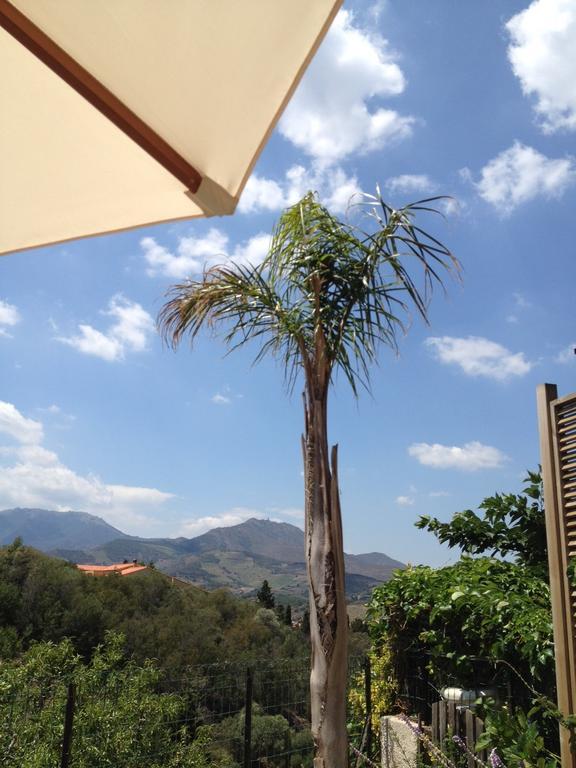 Villa Bougainvilliers Banyuls-sur-Mer Cameră foto
