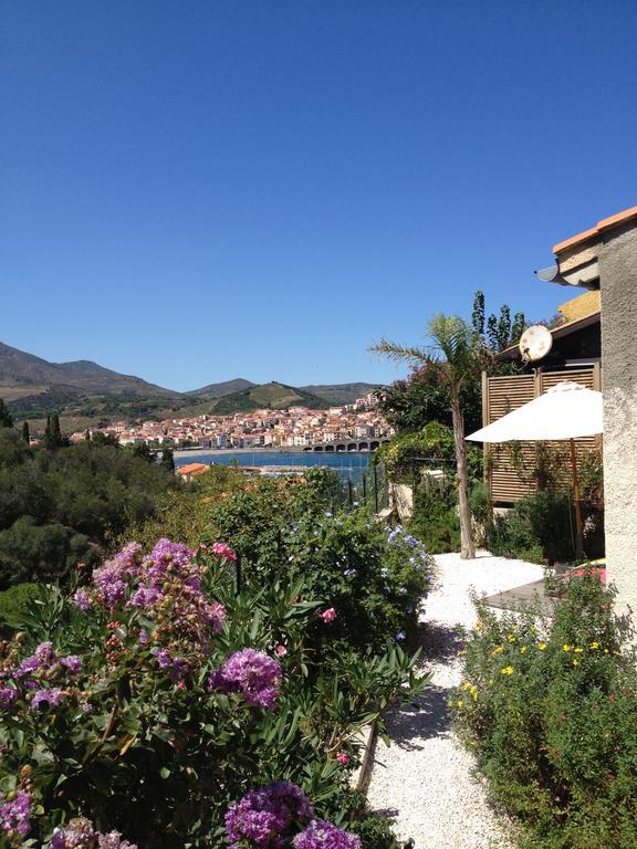 Villa Bougainvilliers Banyuls-sur-Mer Cameră foto